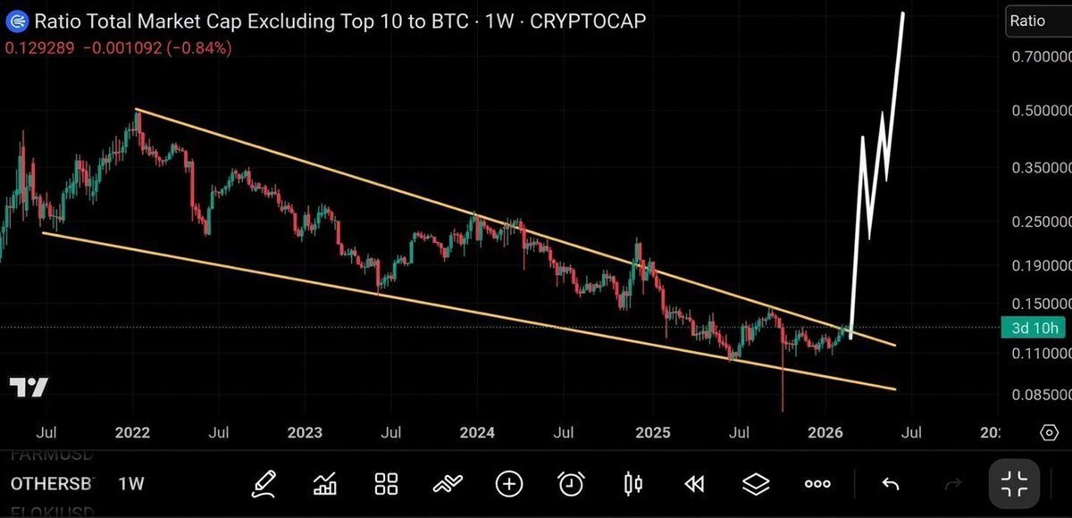 Shib Spain tweet media