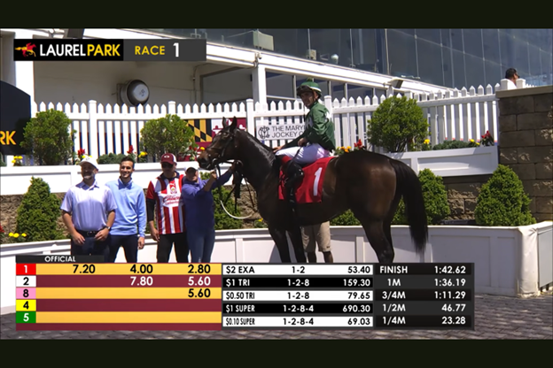 Taste of Victory Stables tweet media