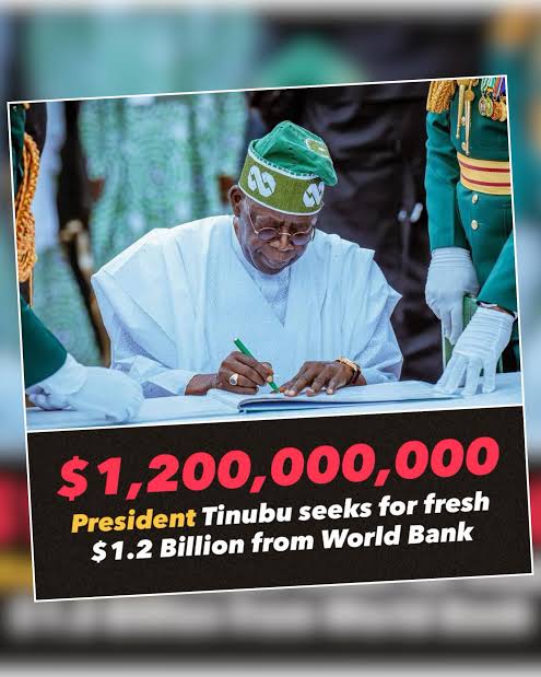 BlissDman🇳🇬 tweet media