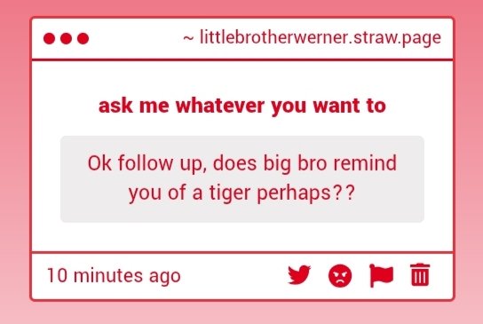 Weiner || Little Brother of #MiddleTWT ⛓️ tweet media