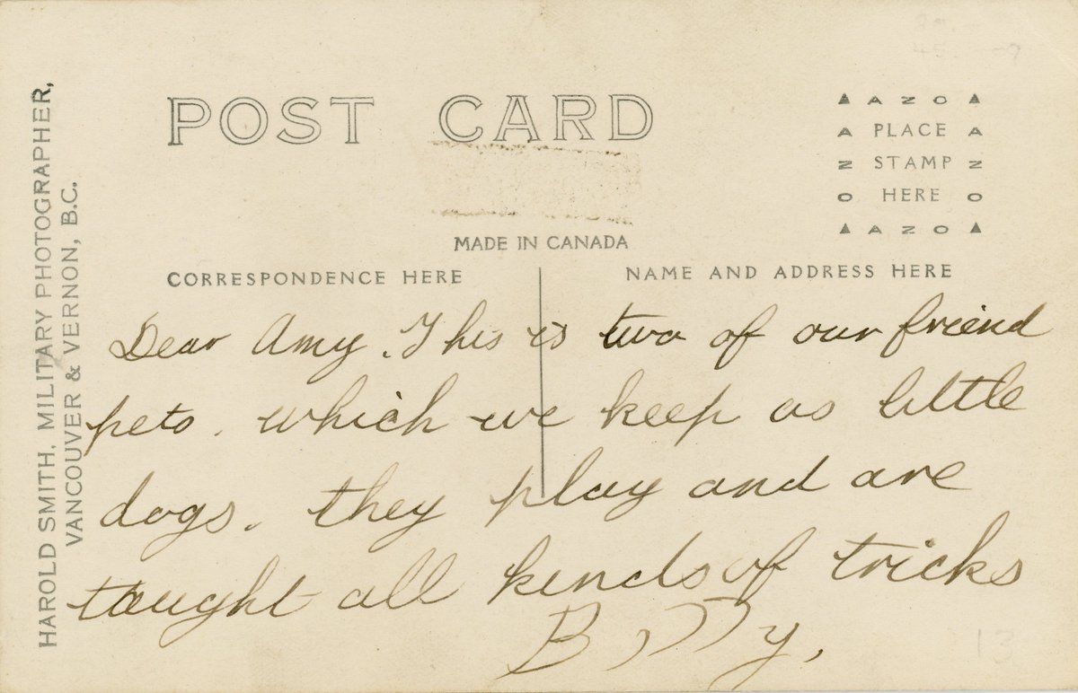 CanMilPostcards's tweet photo. Flossie and Lizzy, bear cub mascots of the 131st Battalion in camp at Vernon, British Columbia in 1915. #Canada #WWI #bear https://t.co/i3DZVQX85T