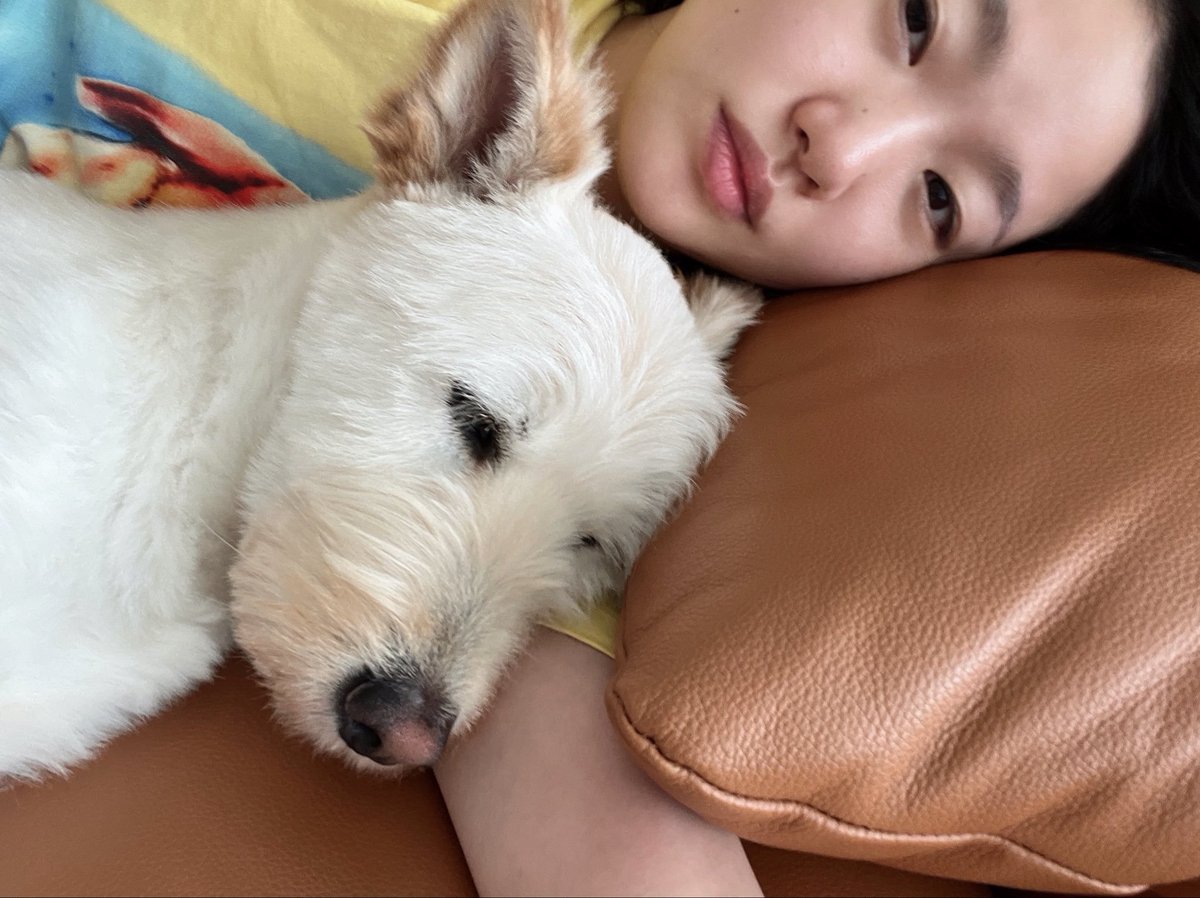 Kim Goeun Brasil tweet media