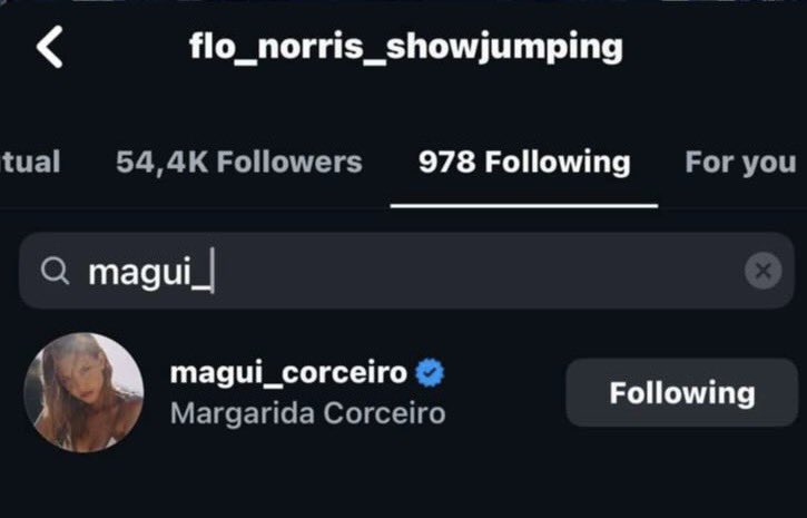 maria tweet media