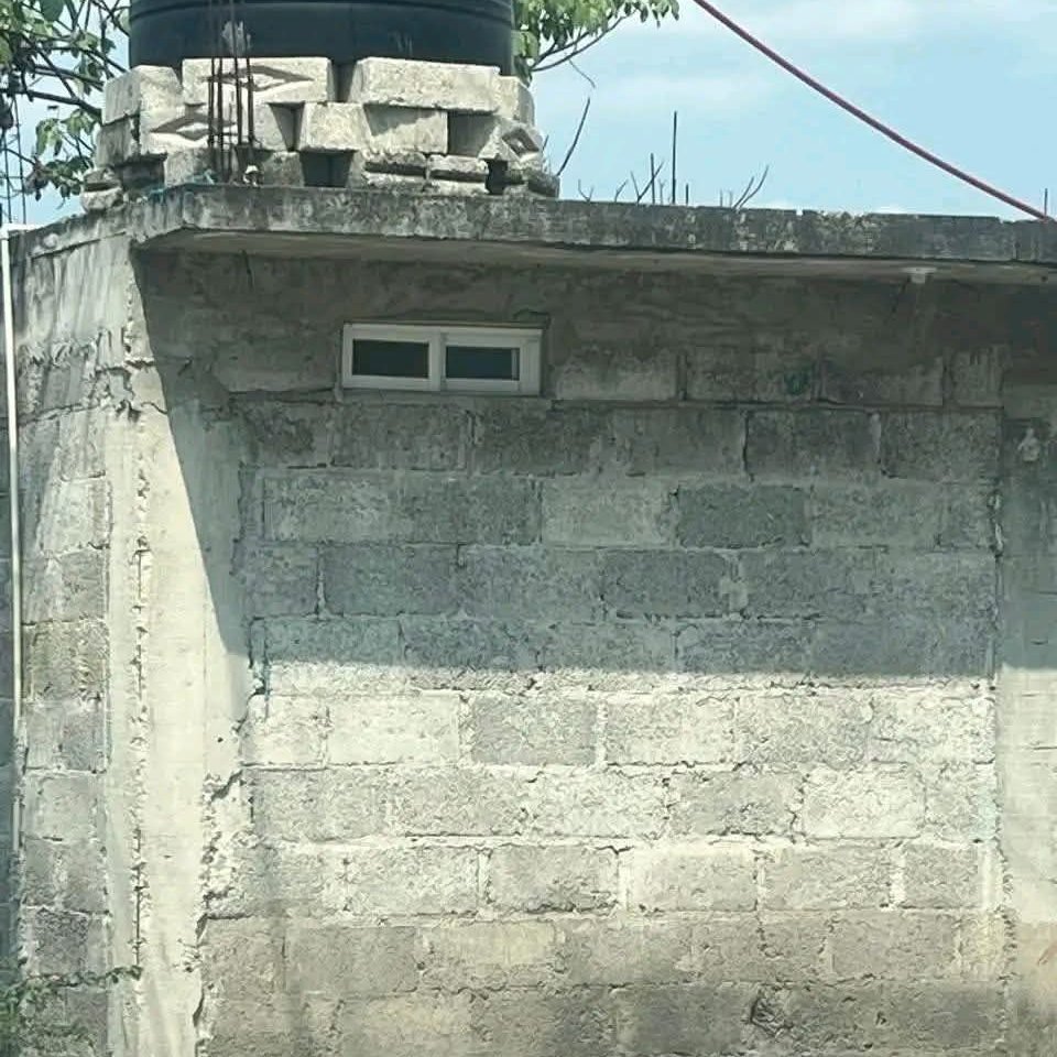 🇲🇽 México Mágico ✨ tweet media