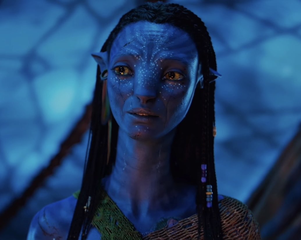 stormborneytiri's tweet photo. neytiri’s shame about her children

— a thread 🪡 https://t.co/1V2CAizLxF