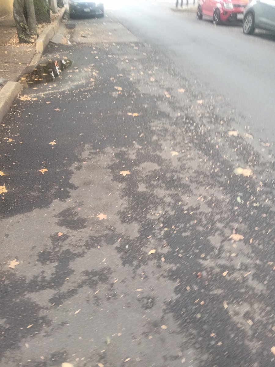 BjPortales's tweet photo. @ReportesBenito @locatel_mx @BJAlcaldia @AccionesBJ @ReportesBenito @ReportandoCDMX1 @LuisMendozaBJ como cada semana el barrendero  hijo de don José de las calles Víctor Hugo y Suiza 03570 no barre solo biene a extorsionar a los vecinos y se va ojalá nos puedan apoyar https://t.co/vTPtPoXrgG
