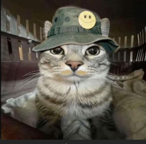 0xExecute's tweet photo. @TheNetDaily ZAZU likes this 0xfEc77a https://t.co/m0oMDCXhw5