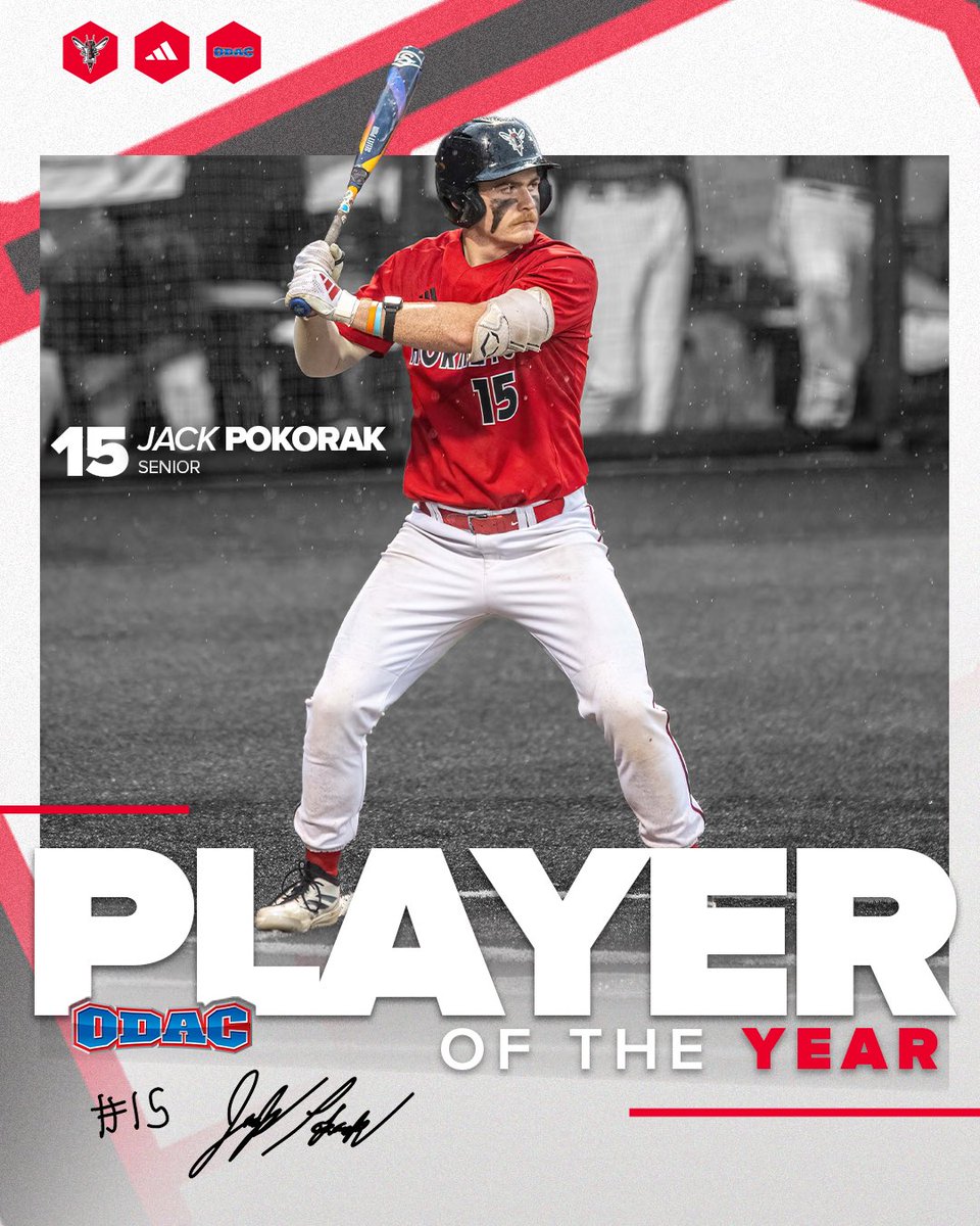 Lynchburg Baseball tweet media