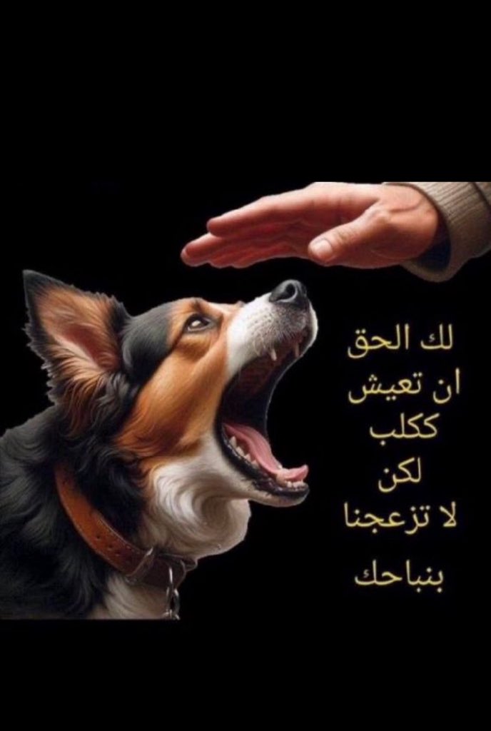 🇸🇦﮼د.﮼عبداللهالسيف 🇸🇦 tweet media