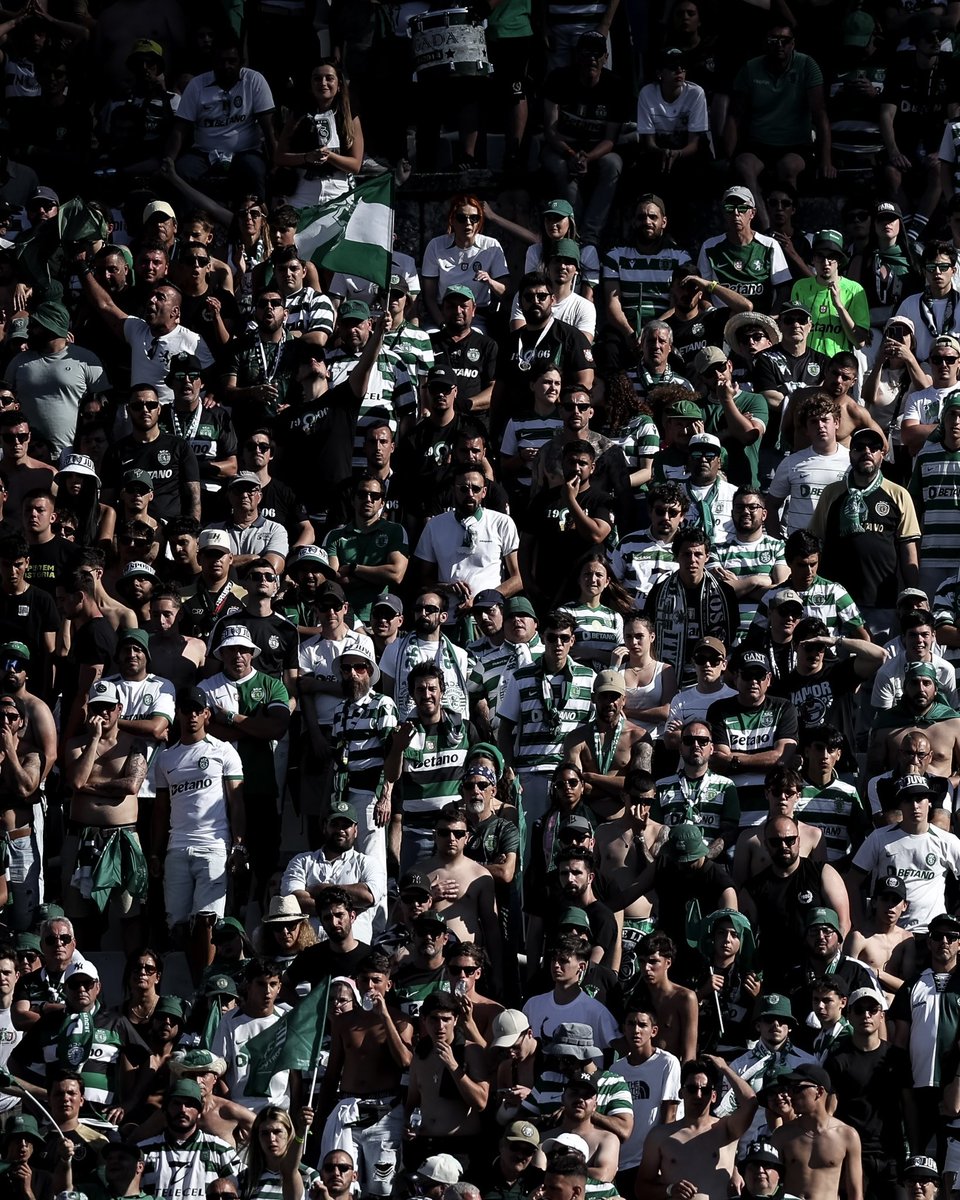 Sporting CP tweet media