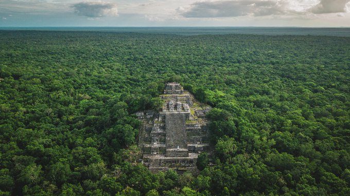 iwantvacations's tweet photo. La reserva de la biosfera de #Calakmul es un sitio mágico, uno de los principales atractivos turísticos de #Campeche y fue una de las ciudades más importantes de la civilización maya.
Calakmul fue declarada Patrimonio Cultural de la Humanidad por la UNESCO en 2002. https://t.co/UOMP2BqdSv
