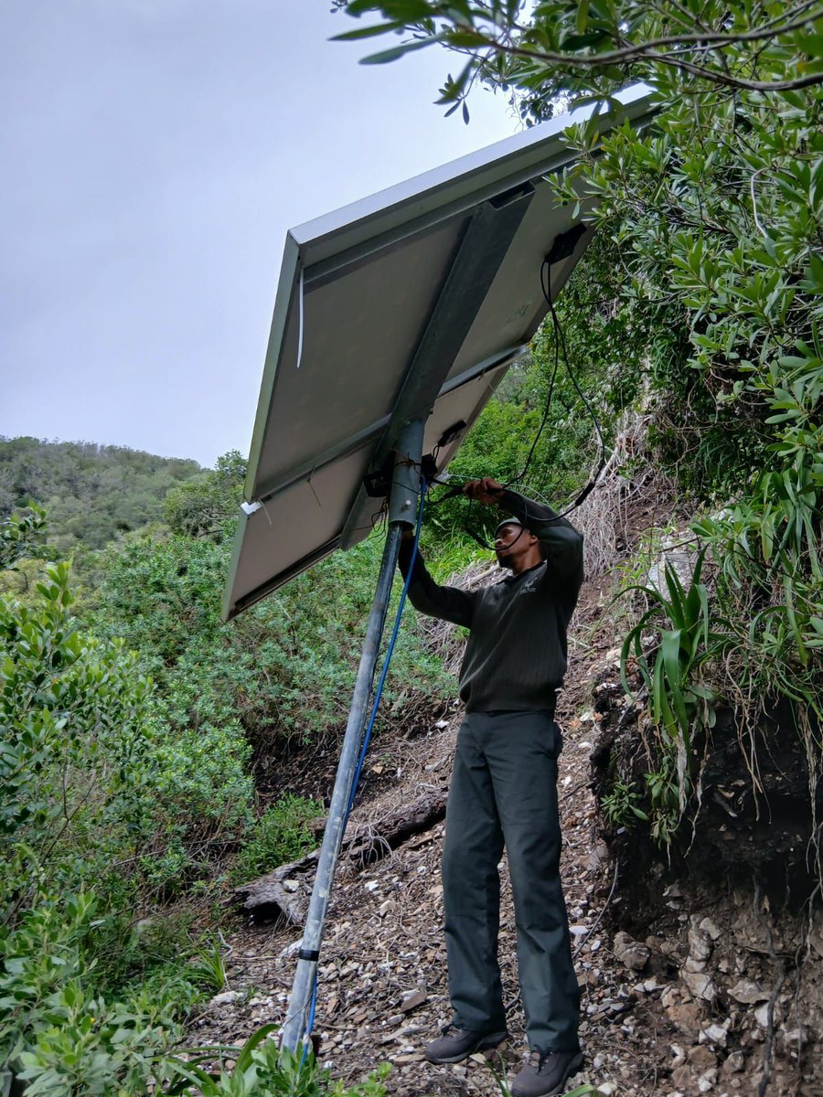 SANParks tweet media