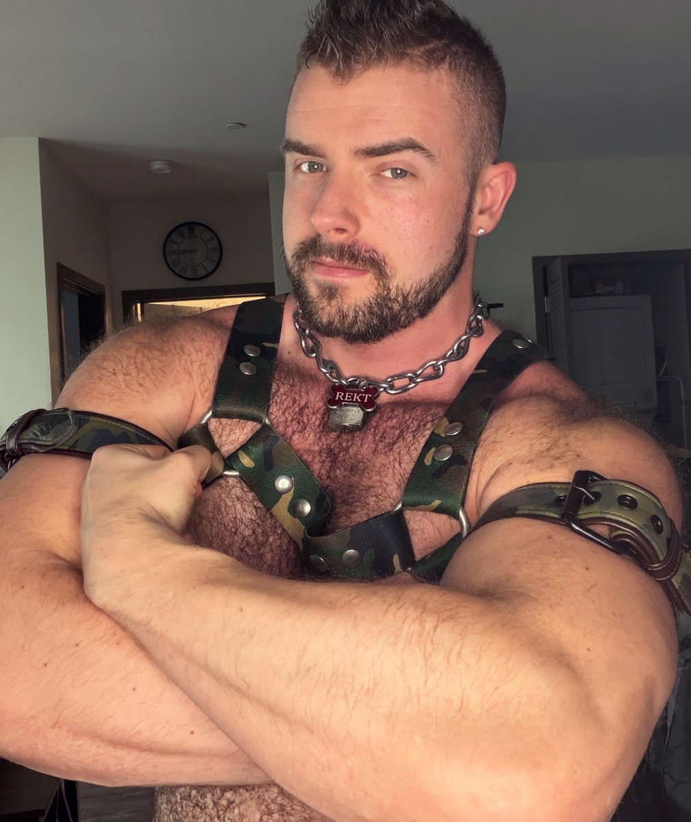 Pup Rekt tweet media