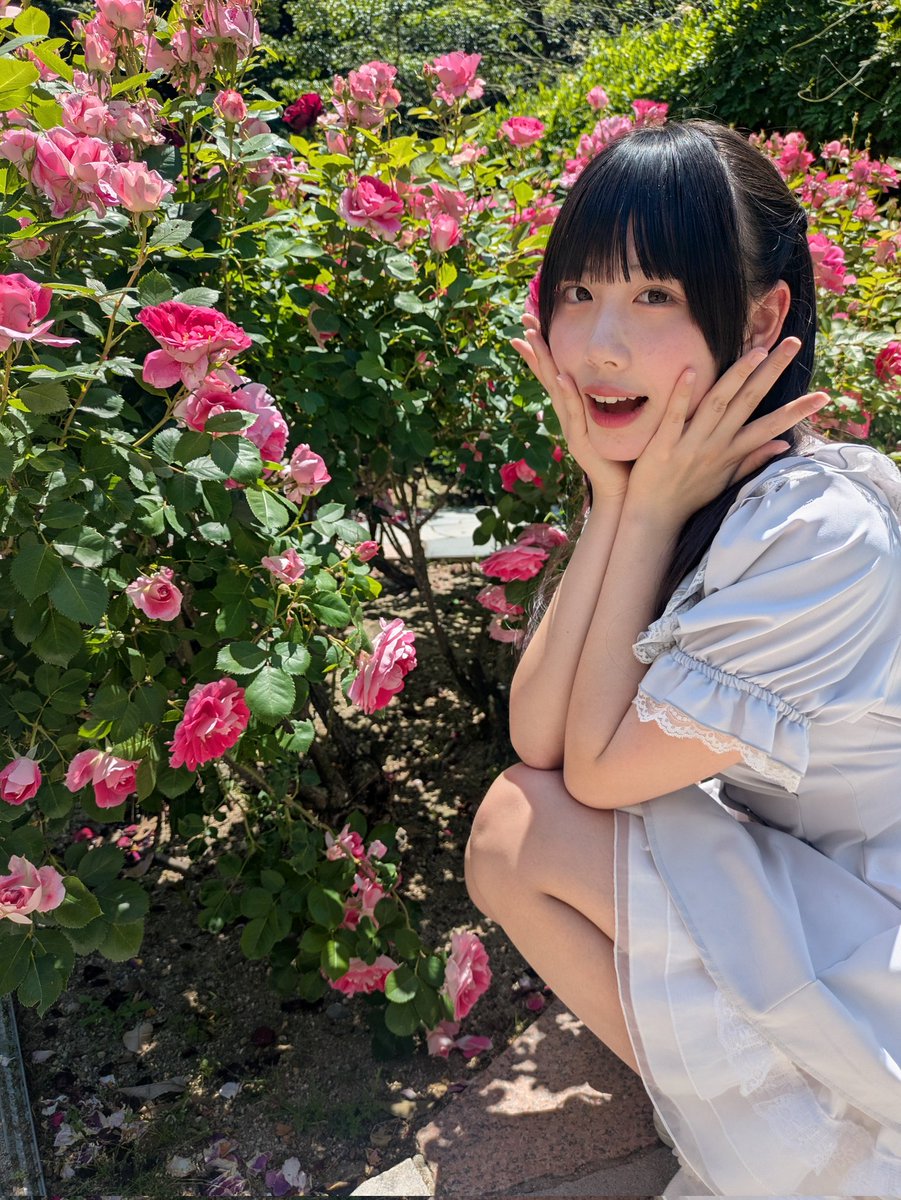 おはようございます☀ 今日は、ピンクの薔薇と…🌹🩷 この後、蜂が出