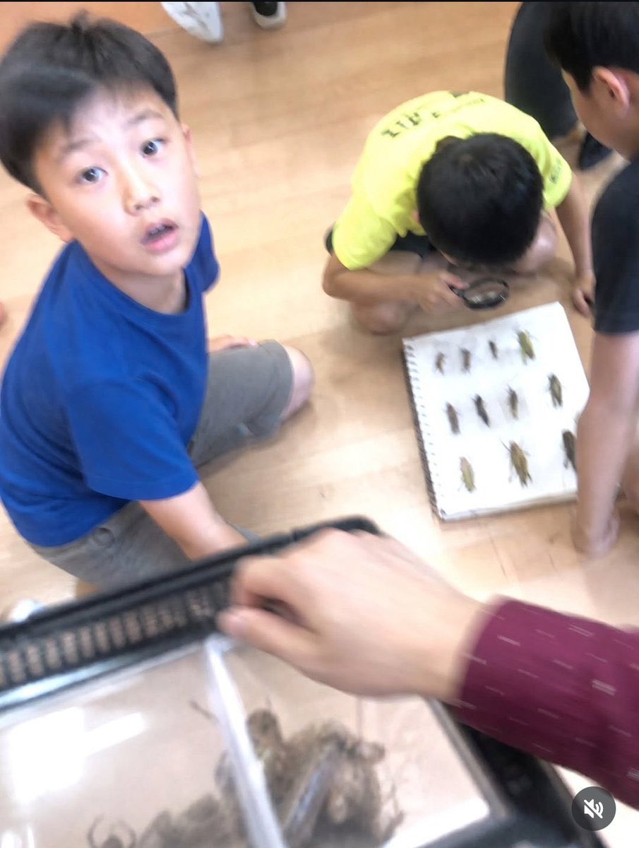 ネットの珍動画研究所 tweet media