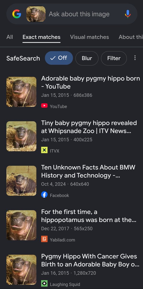 ape head fred tweet media