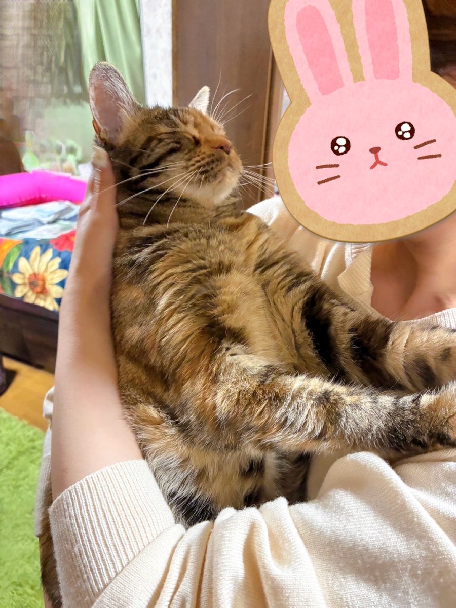 あまりにも赤ちゃん。
君の為に働いてくるからね。