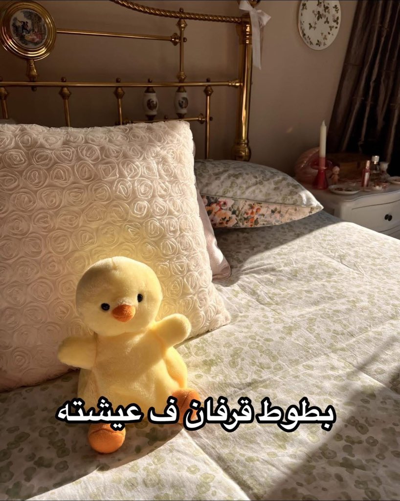 𝗠𝗔𝗛𝗠𝗢𝗨𝗗🥷🏻 tweet media