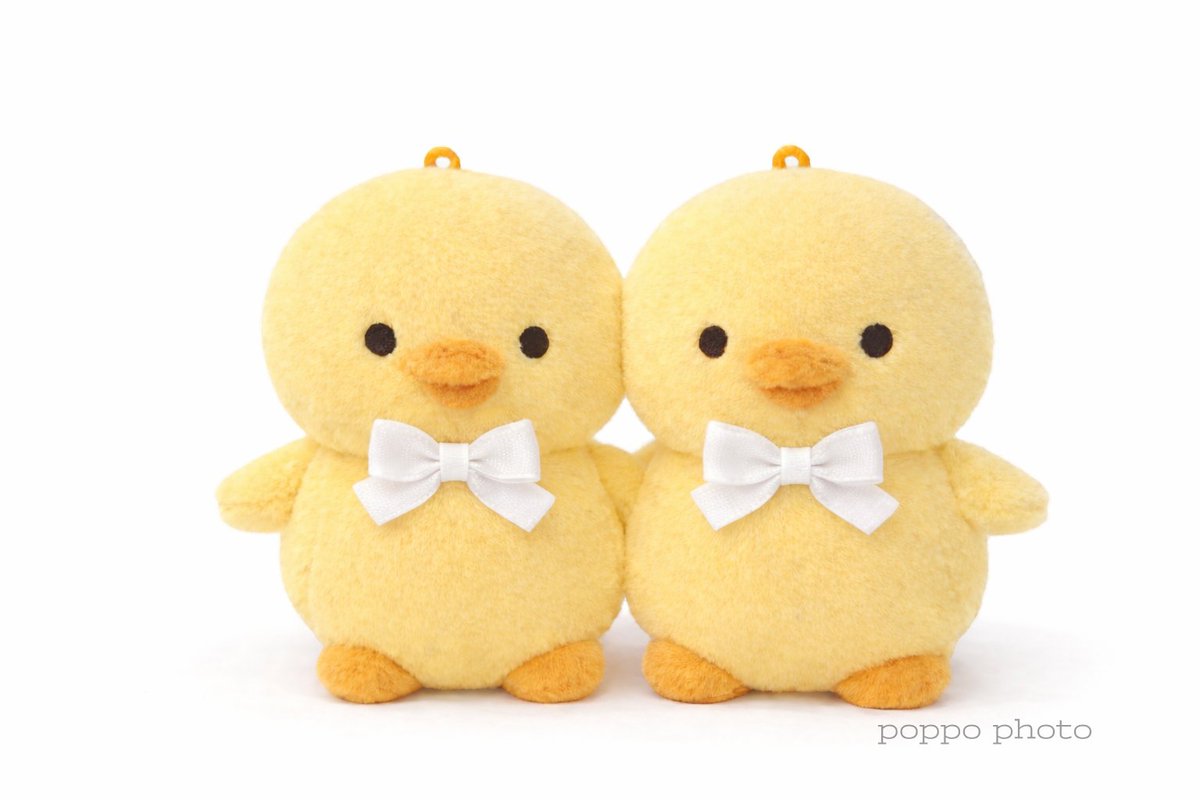 💛ぴよ日記💛 tweet media