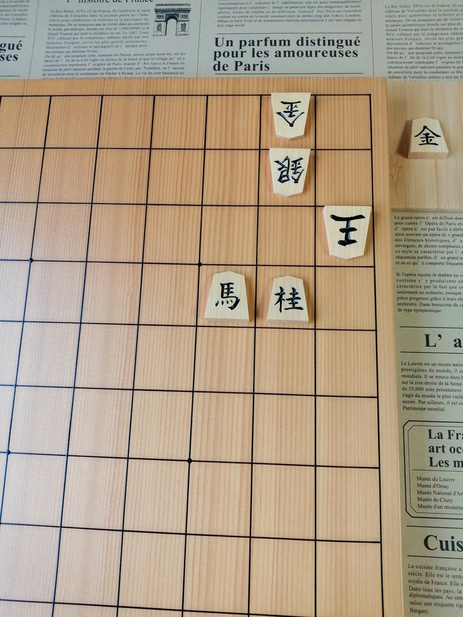 どっちに跳んでもイイじゃん(・∀・) って詰将棋無視した考え方した私