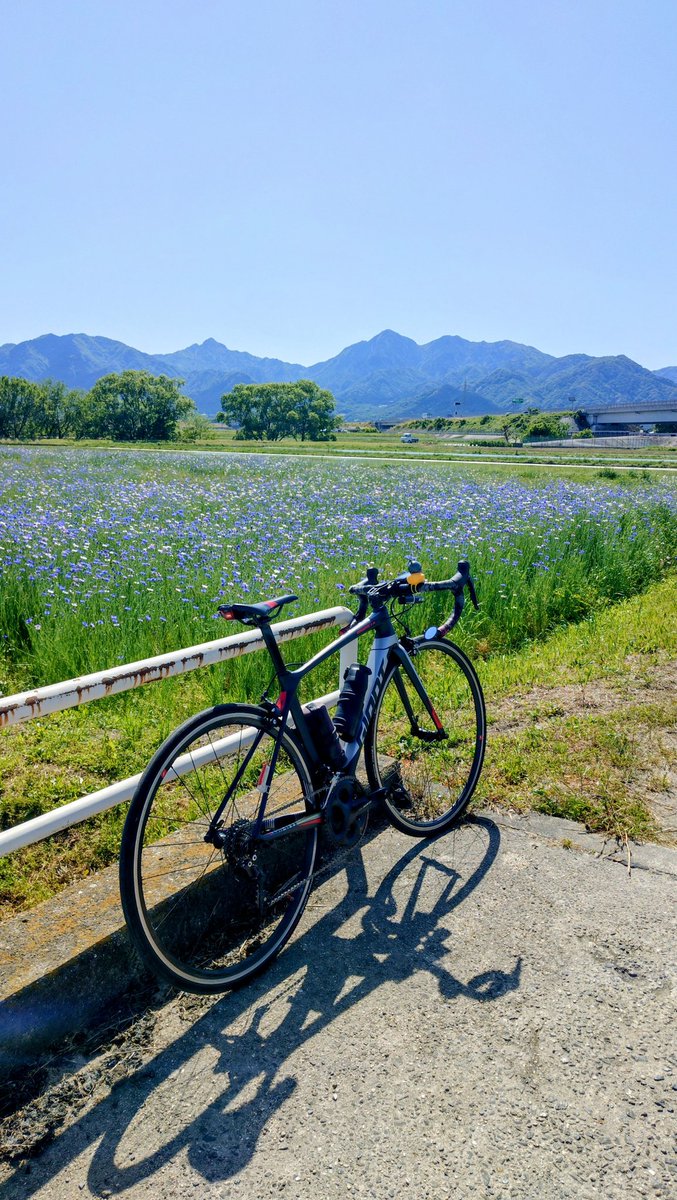 sgrmsFLHX's tweet photo. おはようごさいます。晴天で始まる水曜日の朝☀️　皆さん良い水曜日をお過ごし下さい！
週末pic https://t.co/H2HvKmTGTs
