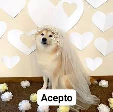 Señor Prada tweet media