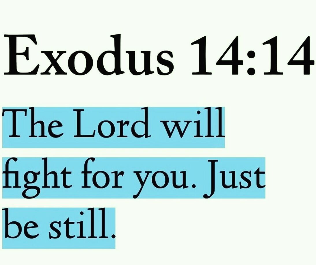 Walk with God tweet media