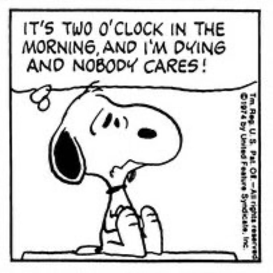 snoopy posters tweet media