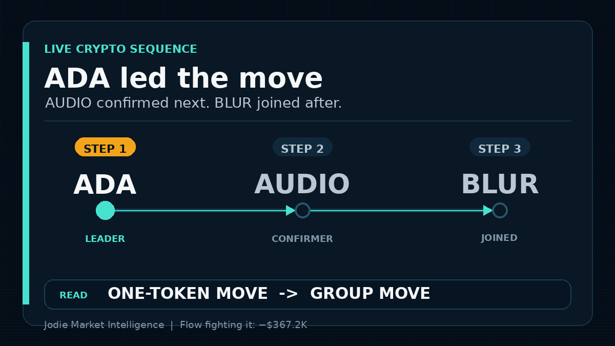 Jodie Market Intelligence tweet media