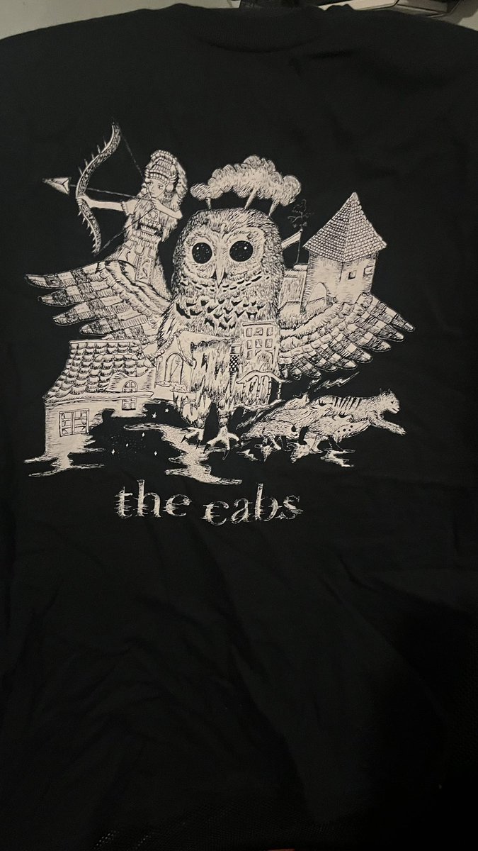 RT @windglassgirls1: i got to see the cabs today and i got a