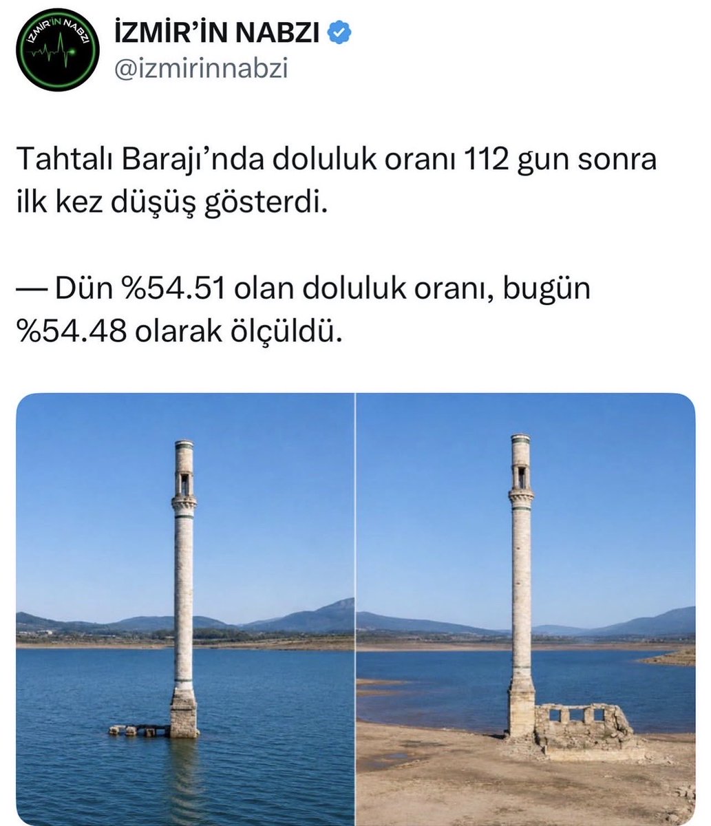 Thecurlyme tweet media
