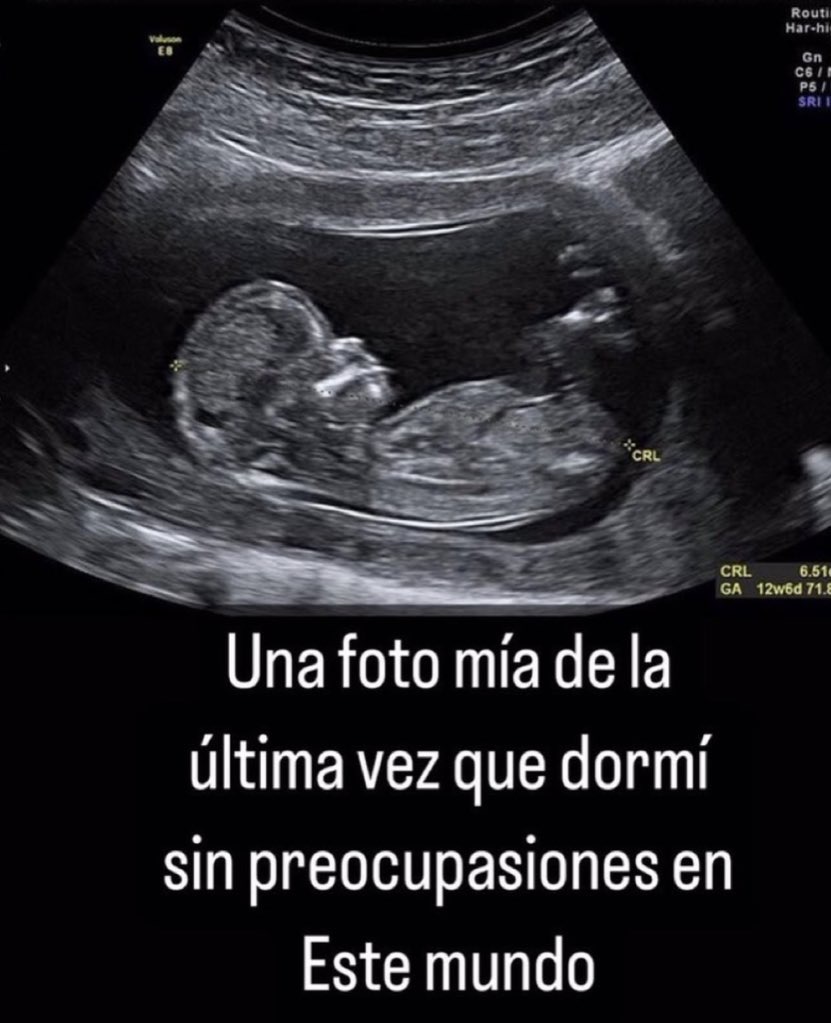 Rolita tweet media