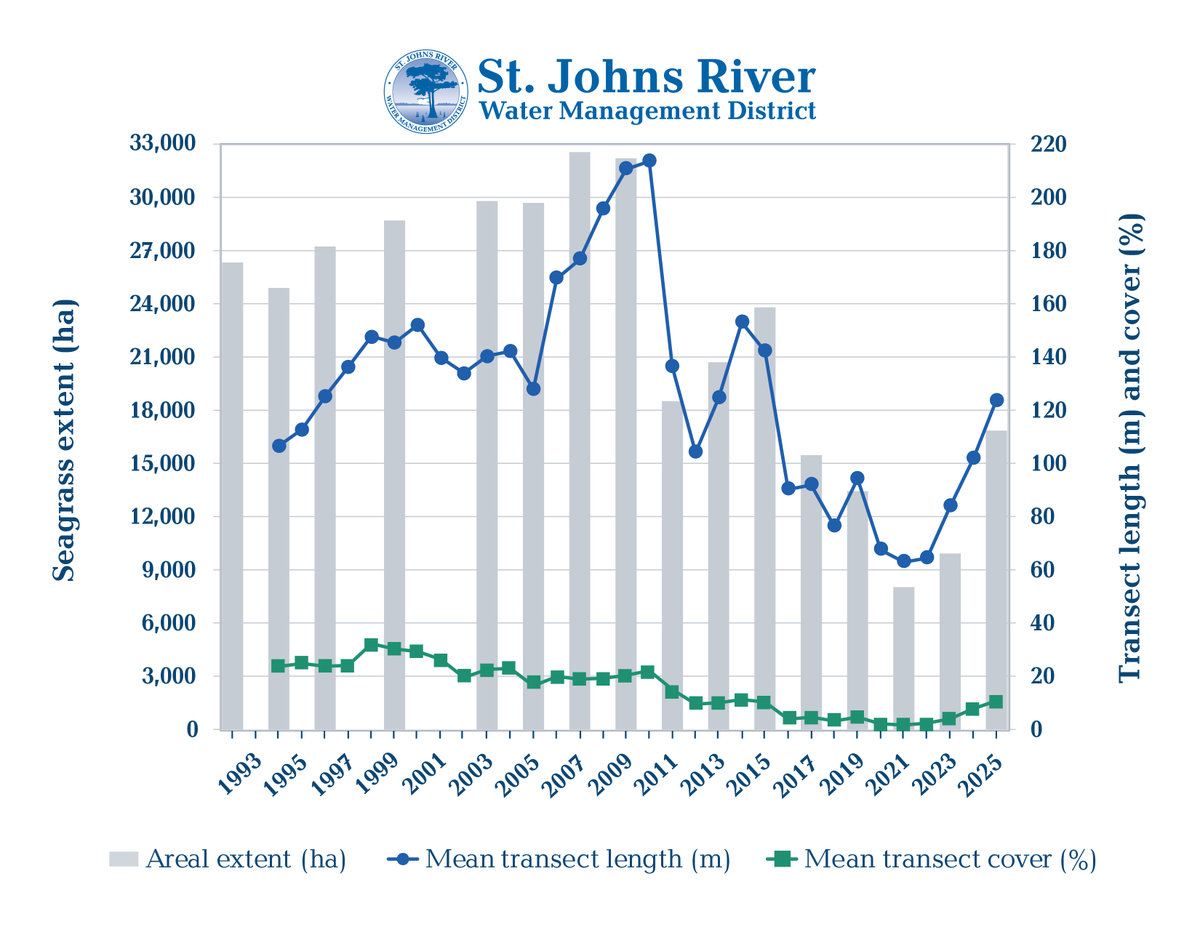 SJRWMD's tweet photo. New monitoring data shows continued seagrass recovery in the Indian River Lagoon, reflecting years of restoration projects, water quality improvements, and partnerships. While progress is encouraging, continued restoration and monitoring remain critical. 

https://t.co/IARvEy5sWj https://t.co/dxyrI6BMqP