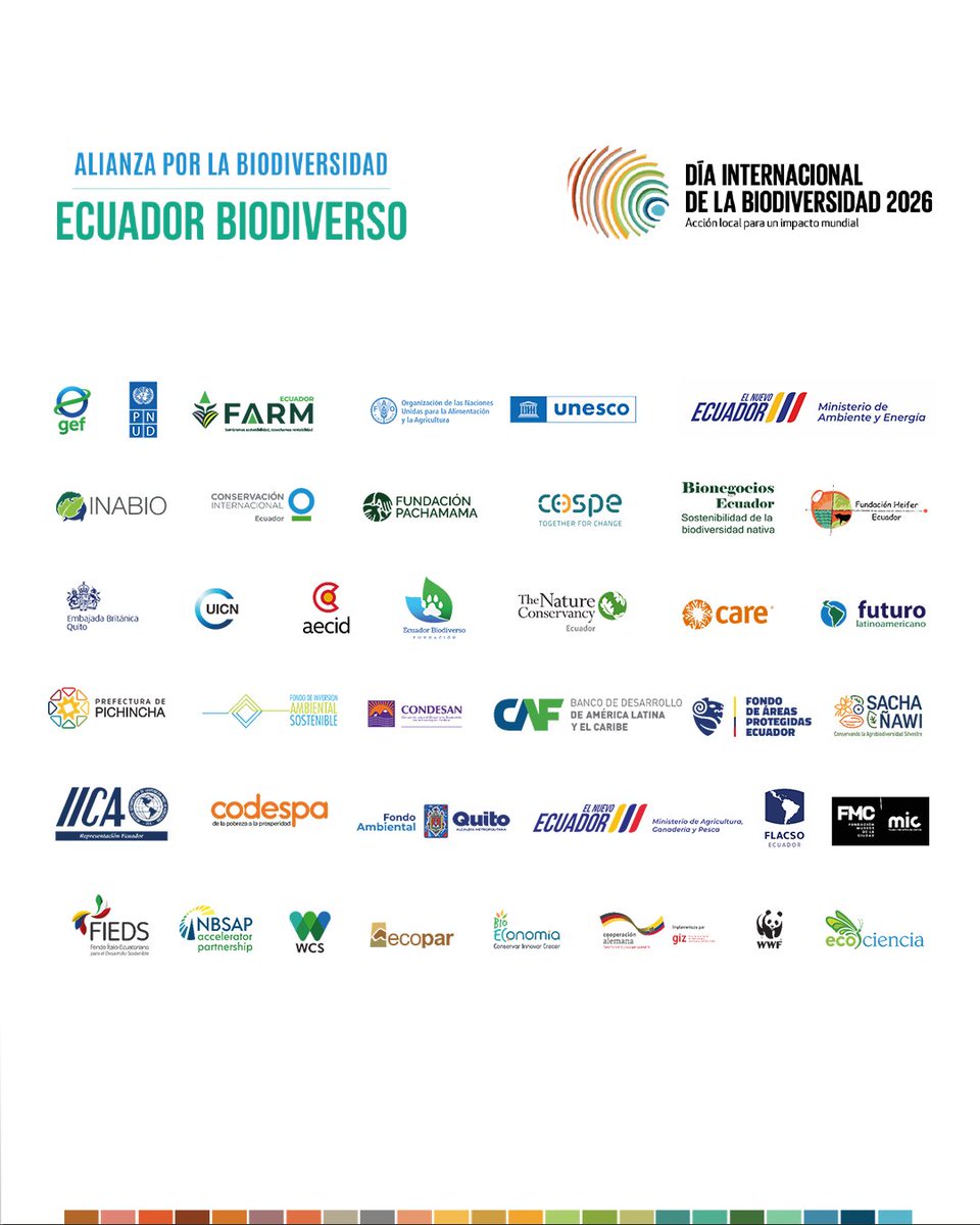 PNUD Ecuador tweet media