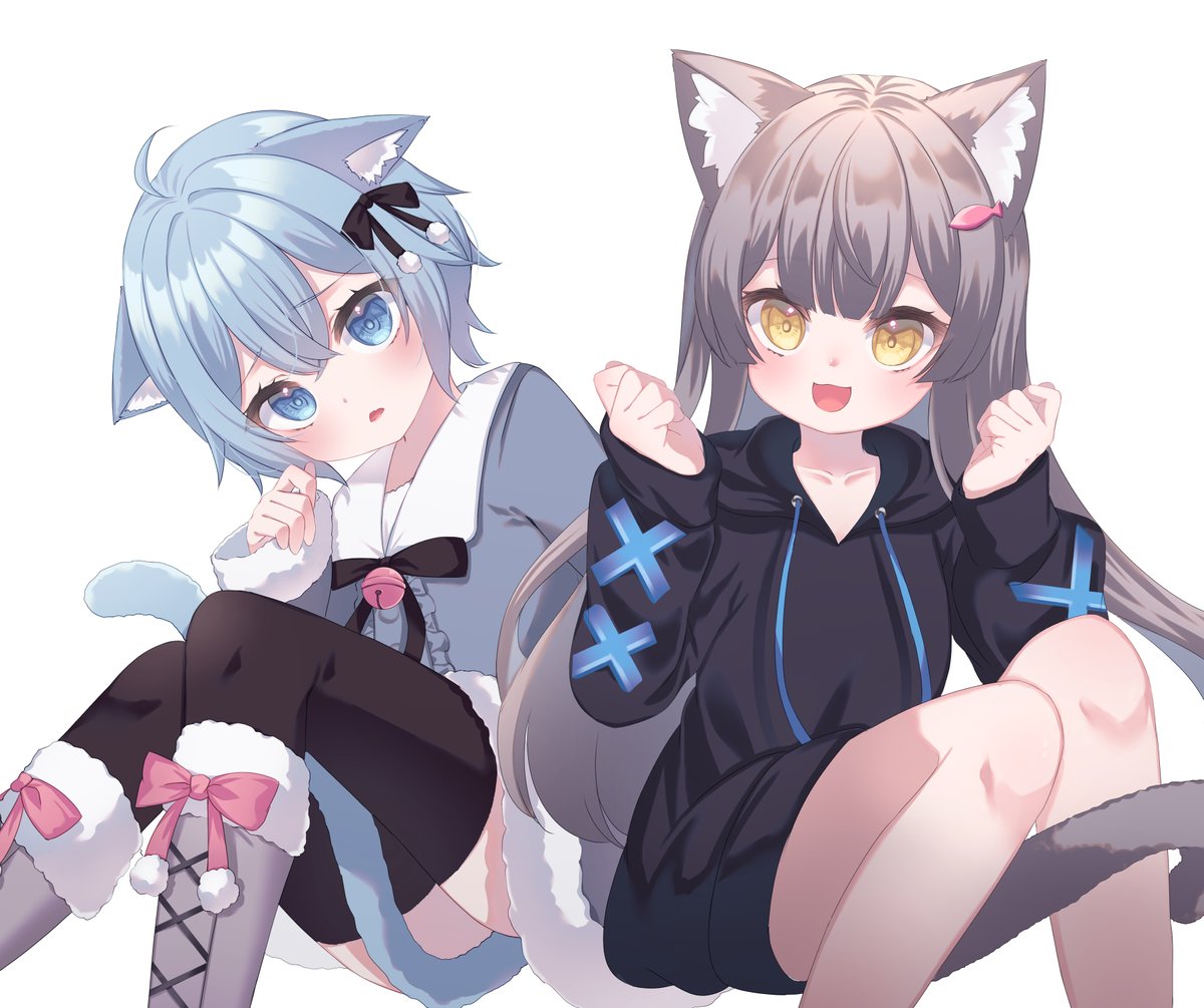 僕はシフォンちゃん！ tweet media