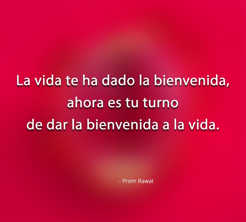 Gerardo Rodriguez N tweet media