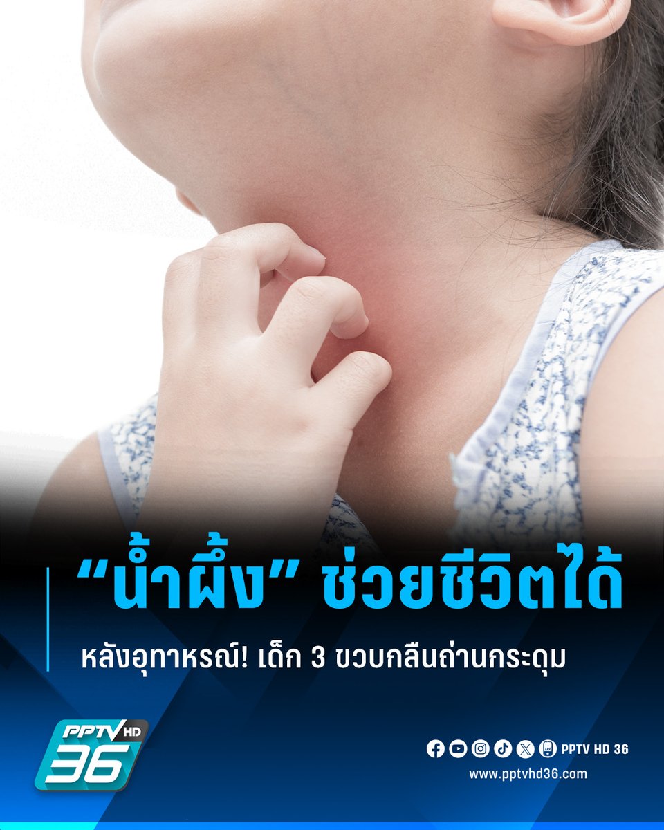 PPTV HD 36 tweet media