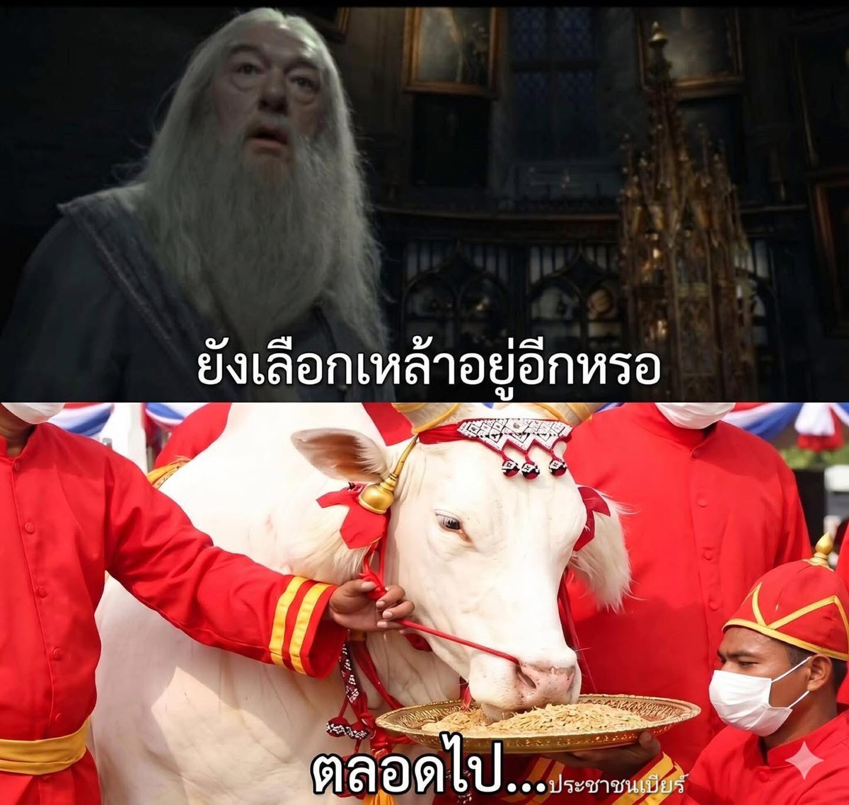 ขออาตมาทีหนึ่ง tweet media