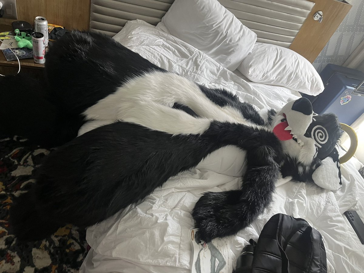 Angel Dog Alis 🔜 FWA tweet media