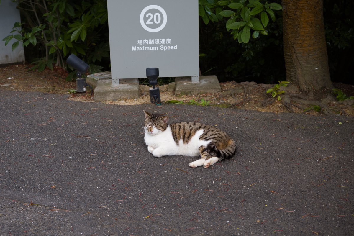 えるのあ tweet media