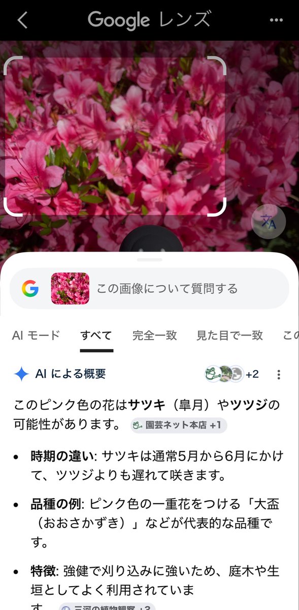 こち製作所【通販@minne】 tweet media