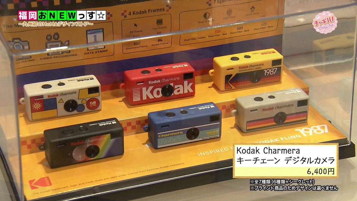 チャギハ! tweet media