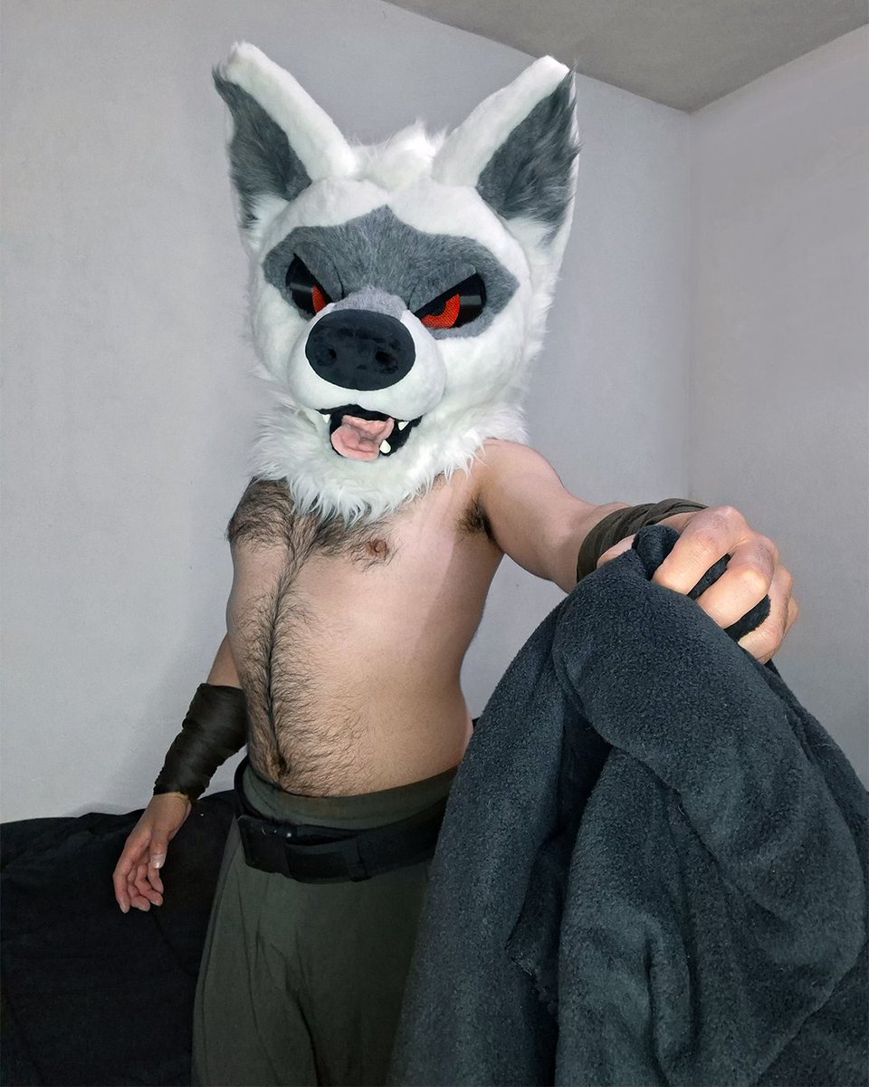 Death The Lobo tweet media