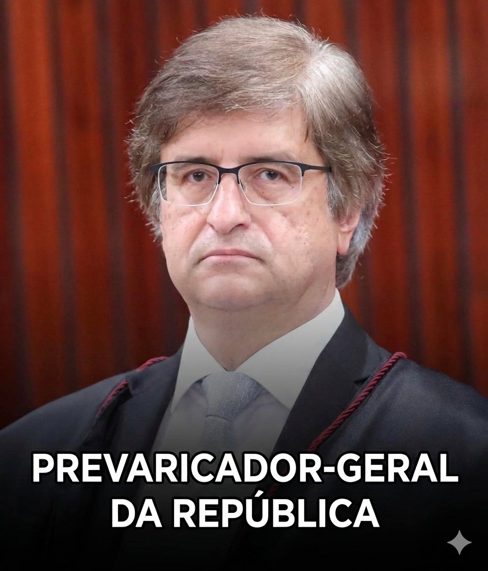 CANAL do ALONSO ➡️🚫🐂🚫🚩🚫🌹 tweet media