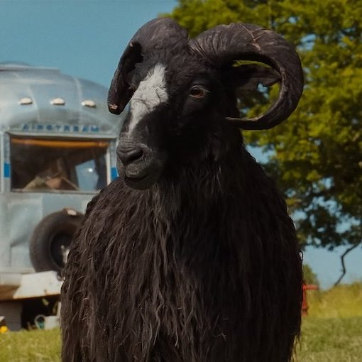 jonathanmb32's tweet photo. Crazy that two of Bryan Cranston's best performances of the last decade have been voiceover performances as animals where he gets to deliver heartbreaking monologues about his character's backstory. https://t.co/SslQrU7NIO