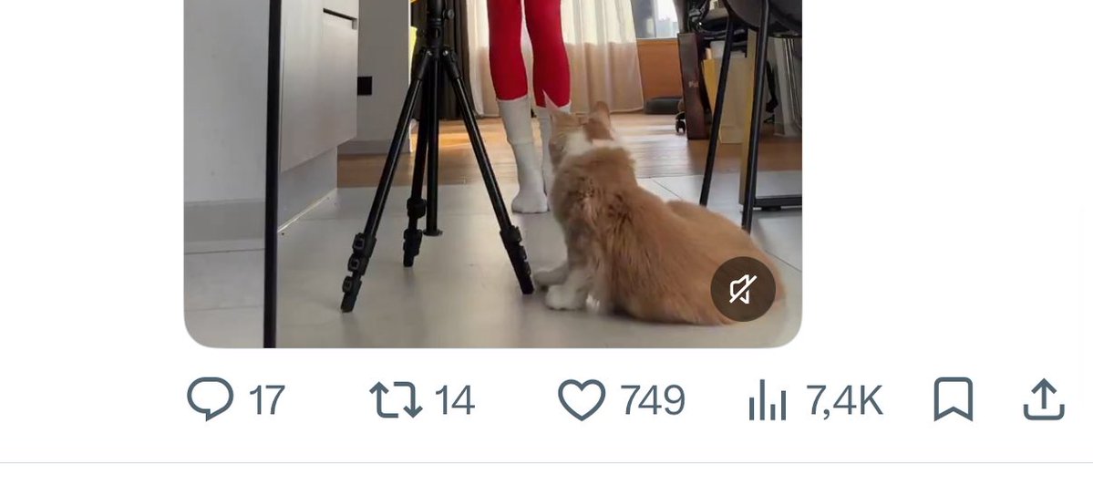 Kimori tweet media