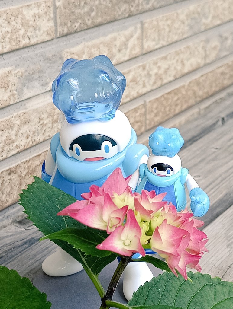 sweecha01's tweet photo. 家の紫陽花が色付いてきました
#メカトロマイティ＆ていてい https://t.co/wnf7k61YBf