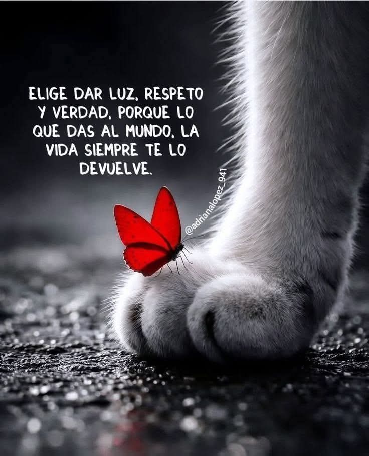 edith10ze's tweet photo. https://t.co/WlaHgFccRz