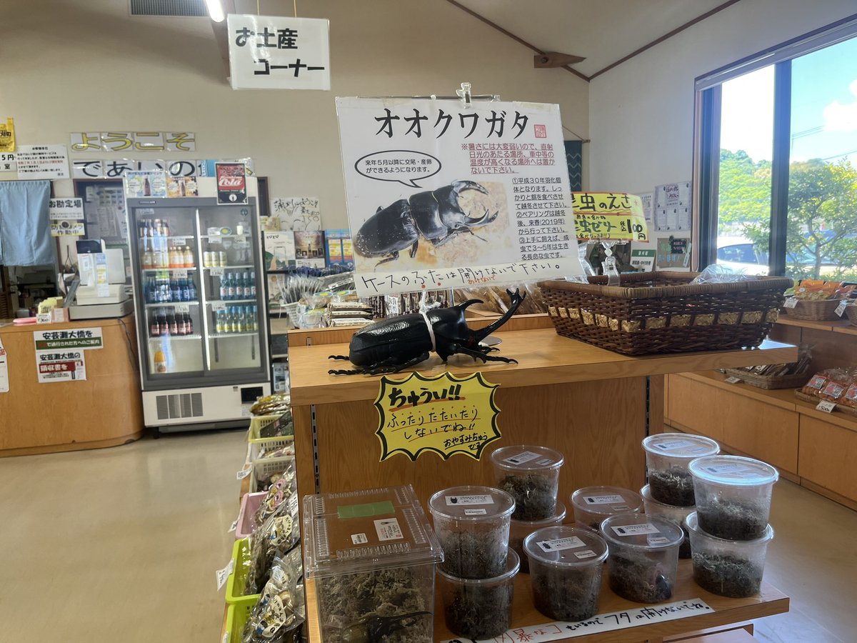 りんこ tweet media