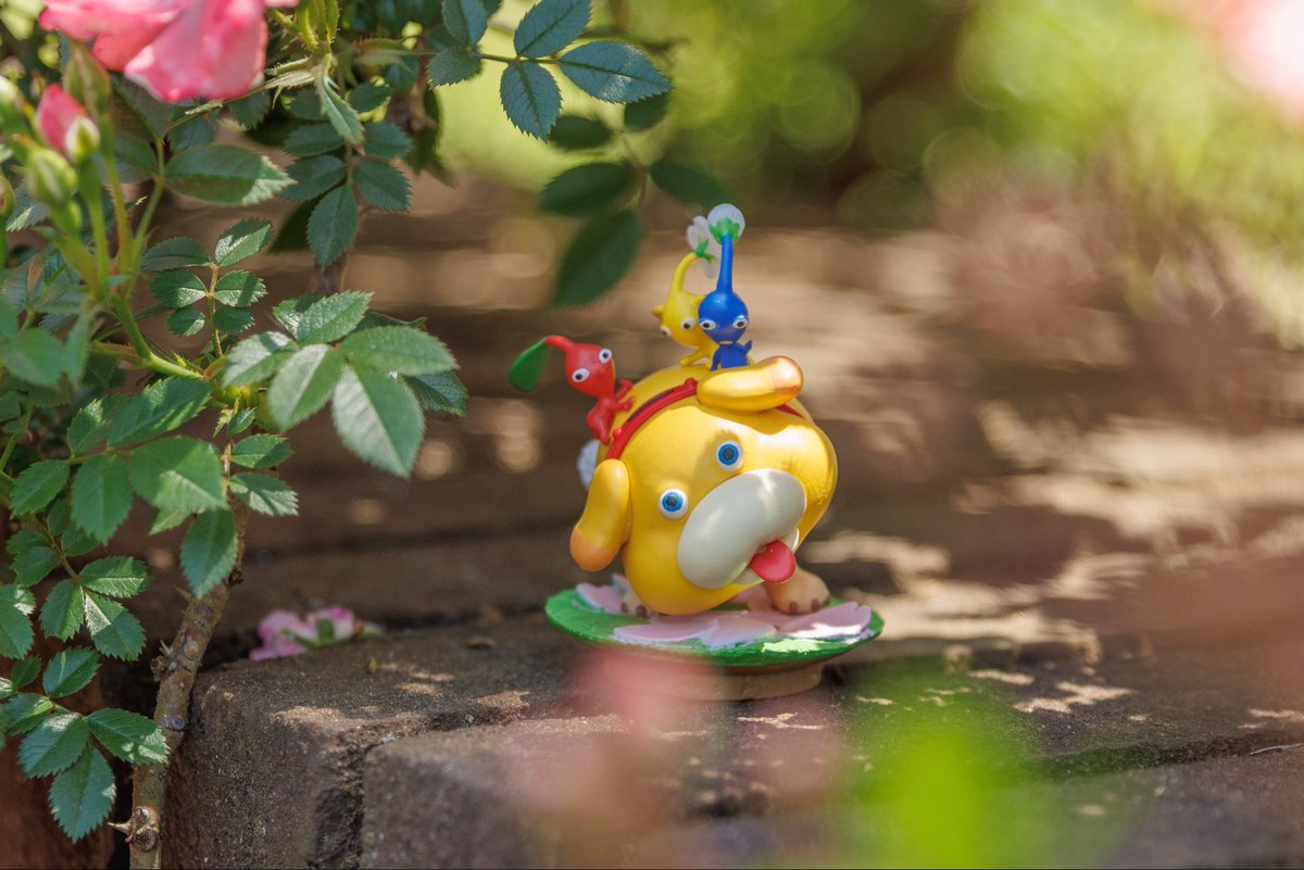 icccko226's tweet photo. バラの森　#pikmin #ピクミン #Nintendo #オモ写 https://t.co/C0xyeku1uu